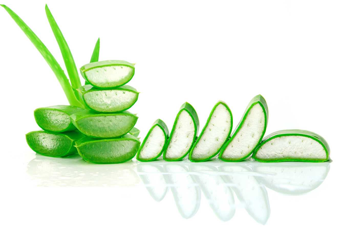 aloe-vera-gel-cheveux-2