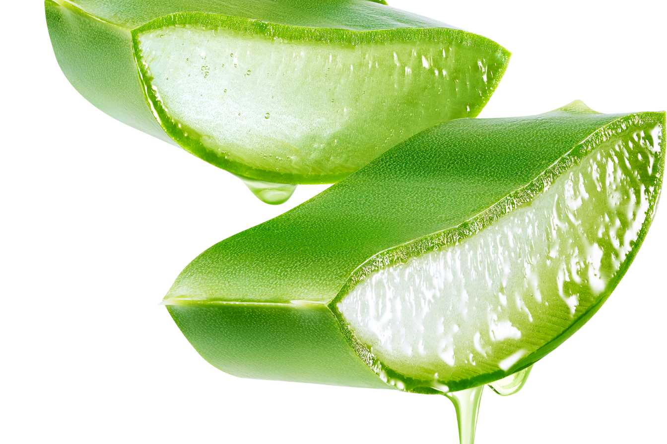 aloe-vera-gel-cheveux-3