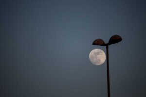 pleine lune accouchement 1